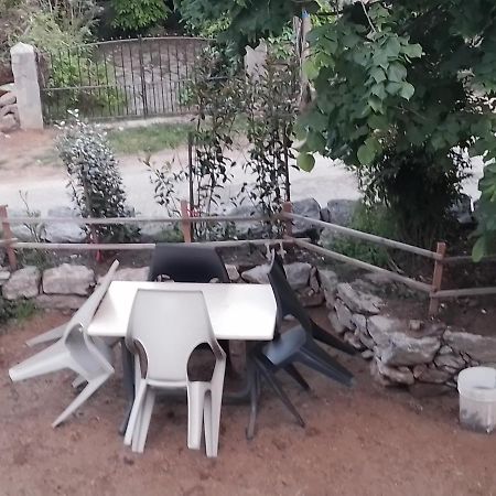 Maison De Caractere Au Coeur De La Corse Rurale Calacuccia Kültér fotó